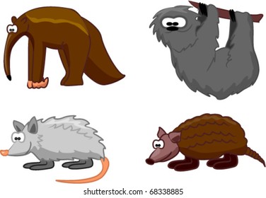 SET animals of opossum, armadillo, anteater, sloth