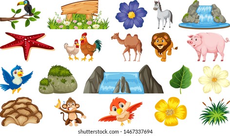 Set of animals and plants illustration