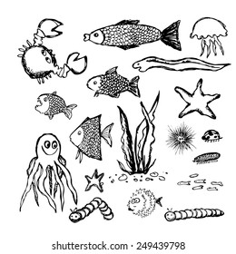 Set  Animals sea fish. Vector