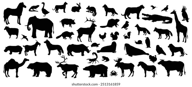 Set of Animals silhouette Vector