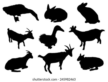 Set of animals silhouettes