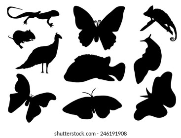 Set of animals silhouettes