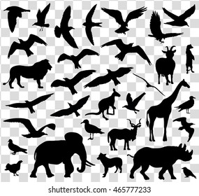 Set of animals silhouettes isolated. Vector illustration