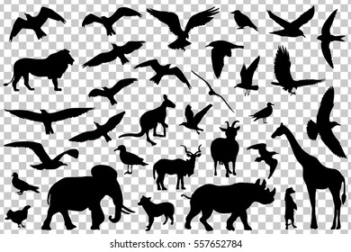 Set of animals silhouettes isolated. Vector illustration