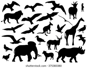 Set of animals silhouettes on white background. Vector illustration