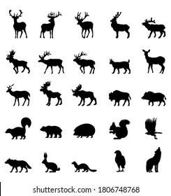 set of animals silhouettes vector