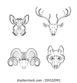 Set of animals sketches: deer, wild boar, wolf, longhorn sheep. Vector illustration 