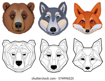 Set of animals and their linear silhouettes - the wolf, bear, Fox. Vector illustration.
