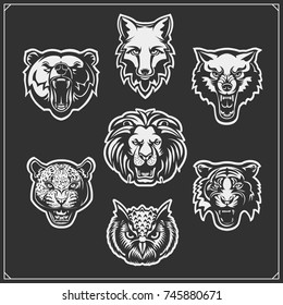 Set of animals: tiger, owl, fox, lion, bear, wolf, leopard.