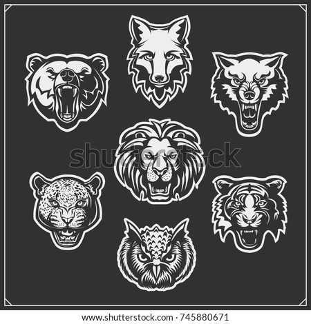 Set of animals: tiger, owl, fox, lion, bear, wolf, leopard.
