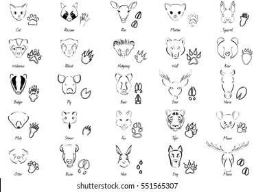 Set of animals and trails with name