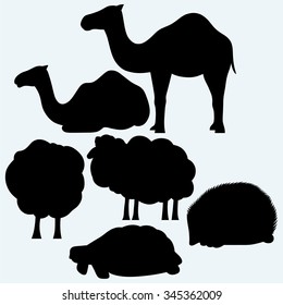 Set of animals. Turtle, camels, sheep and hedgehog. Isolated on blue background. Vector silhouettes