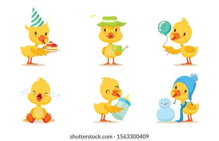 Set Of Animated Chickens In Different Poses Vector Illustration Cartoon Character