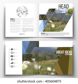 Set of annual report business templates for brochure, magazine, flyer or booklet. Abstract colorful polygonal backdrop, blurred background, mountain landscape, modern stylish triangle vector texture.
