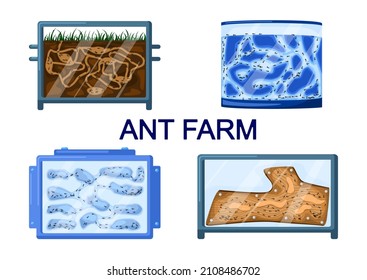 Set Ameisenfarmen einzeln auf weißem Hintergrund. Verschiedene Arten von Formikaria von Gips, Erde, Holz, Gel. Ameisen in Tunneln, die sich in das Terrarium bewegen. Teamwork-Konzept. Vektorgrafik.