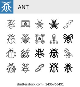Set of ant icons such as Cockroach, Louse, Bug, Mosquito, Worm, Stink bug, Bed bug, Ant, Ladybug, Centipede, Earwig , ant