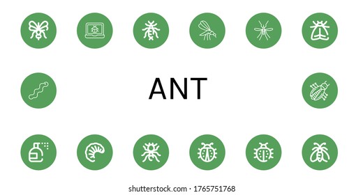 Set of ant icons. Such as Mosquito, Bug, Earwig, Moth, Insecticide, Larva, Pheidole, Ladybug, Worm , ant icons