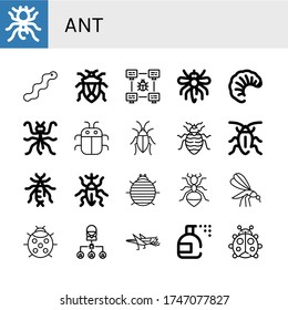 Set of ant icons. Such as Pheidole, Worm, Bug, Mosquito, Larva, Mantis, Cockroach, Bed bug, Earwig, Weevil, Woodlouse, Ant, Ladybug, Grasshopper, Insecticide , ant icons