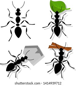 Set of ant with separate parts, with leaf, branch and pebble on white.