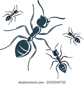 a set of ant silhouette 
