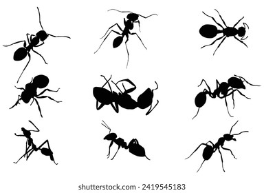 Set of Ant silhouette icon logo template vector illustration design