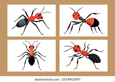A set of Ant vector art illustration