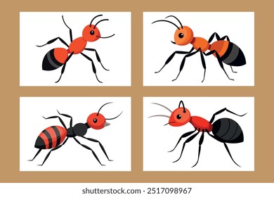 A set of Ant vector art illustration