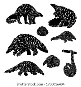 Set of Anteater Logo Design Vector. Silhouette of Anteater. Vector illustration