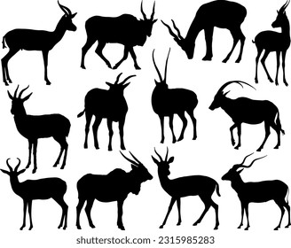 Antelope Silhouette, Wild Animal