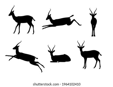 Conjunto de antílopes en diferentes poses. Borde negro. Animales Safari