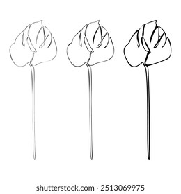 Set of Anthurium continuous line drawing. Black and white Floral Bouquets. Flower Coloring Page. Floral Line Art. Fine Line Lilies illustration. Hand Drawn flowers. Botanical Coloring. 