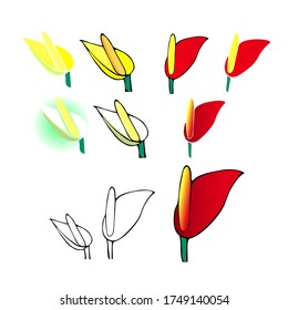 Set of Anthurium flower. Hand drawn Anthurium flower blossom  vector illustration