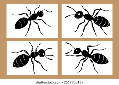 A set of Ants vector illustration