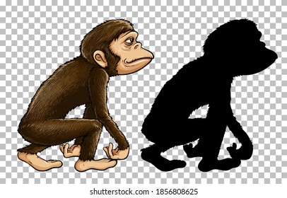 Set of ape and its silhouette  illustration