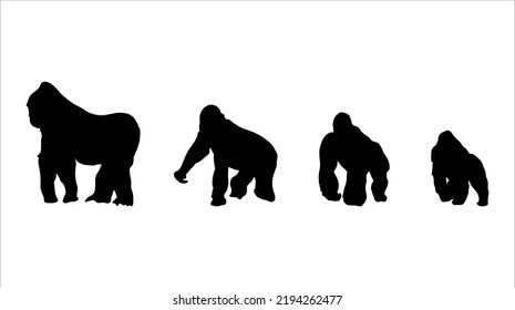 Set Of Ape Silhouette Illustrations 