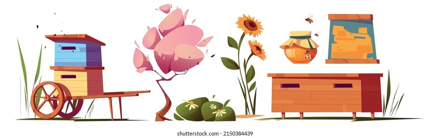 Set of apiary and honey production items, plants and equipment. Isolated beehives, glass jar, blooming tree, sunflowers and honeycombs in wooden frame, isolated Cartoon vector illustration, icons