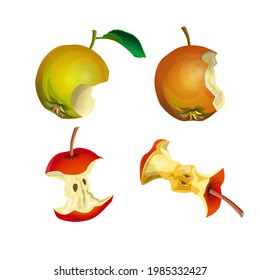 Conjunto de núcleos de manzana. Ilustración del vector aislada en fondo blanco 