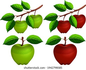 Set of apple with leaves illustration