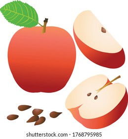 Establecer manzana en fondo blanco