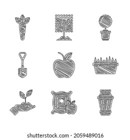 Ponga Apple, en el saco, lámpara de luz de jardín, pasto fresco rectangular, mano de planta de medio ambiente, pala, olla de flor e icono de zanahoria. Vector