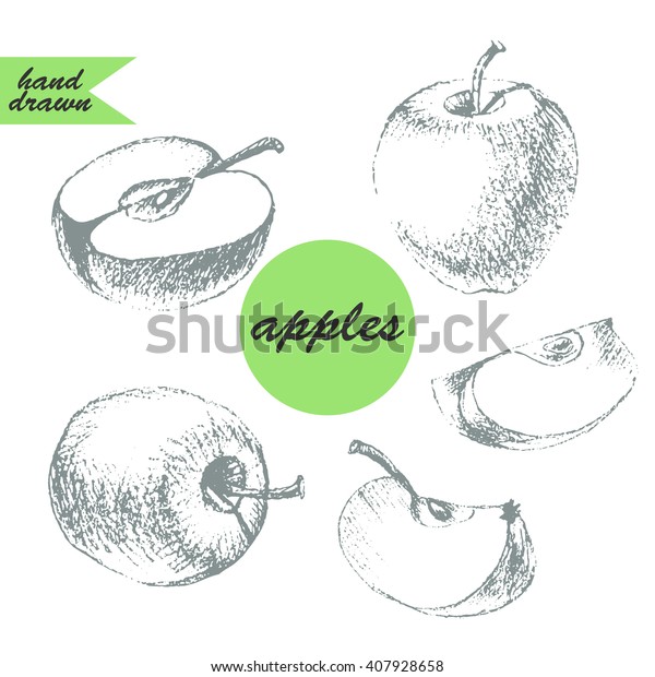 Set Apple Sketches Pencil Drawing Apple Stock Vector (Royalty Free