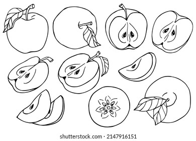 Juego de bocetos de manzanas. Gráficos vectoriales.