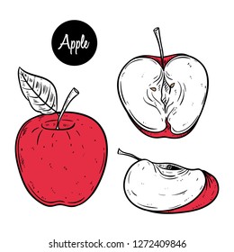 set of apple slice illustration with color and using hand drawn style