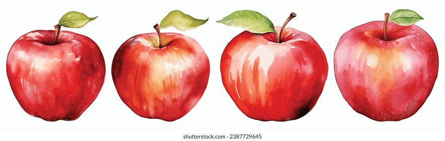 Set of Apple Watercolor Vector Illustration