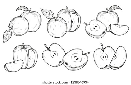 Set of apples. Black and white hand drawn vector illustration. Sketches and engravings apples composition.