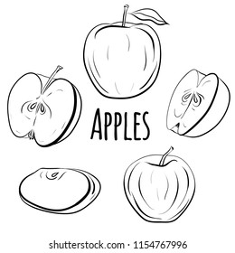 Set of apples of different shapes. Single and halves of apples. Black and white contour illustration for the menu, recipes, postcards and your creativity.