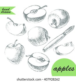 Set von Äpfelzeichnungen. Handgezeichnete Bleistiftskizze von Äpfeln, halben, geschnittenen und fruchtigen Perlmesser auf Grau