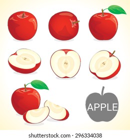 Set of apples fruit, apple with leave in vector and various styles