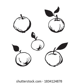 Set of apples hand-drawn in black ink isolated on white background