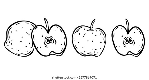 Set of apples in hand-drawn sketch style. Fruit illustration in vector. Outline with transparent background.